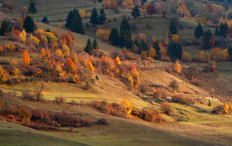 saker tours romania